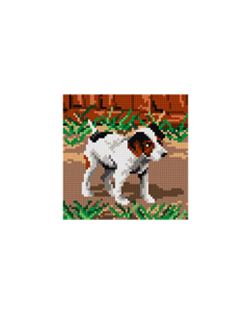Schemat do haftu Jack Russell terier