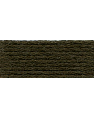 Mulina DMC 3021