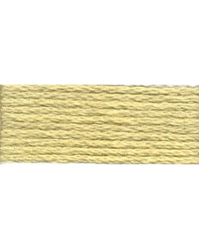 Mulina DMC 3047