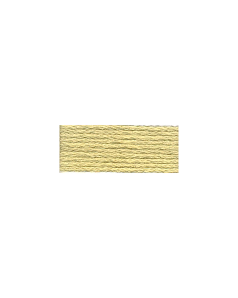 Mulina DMC 3047
