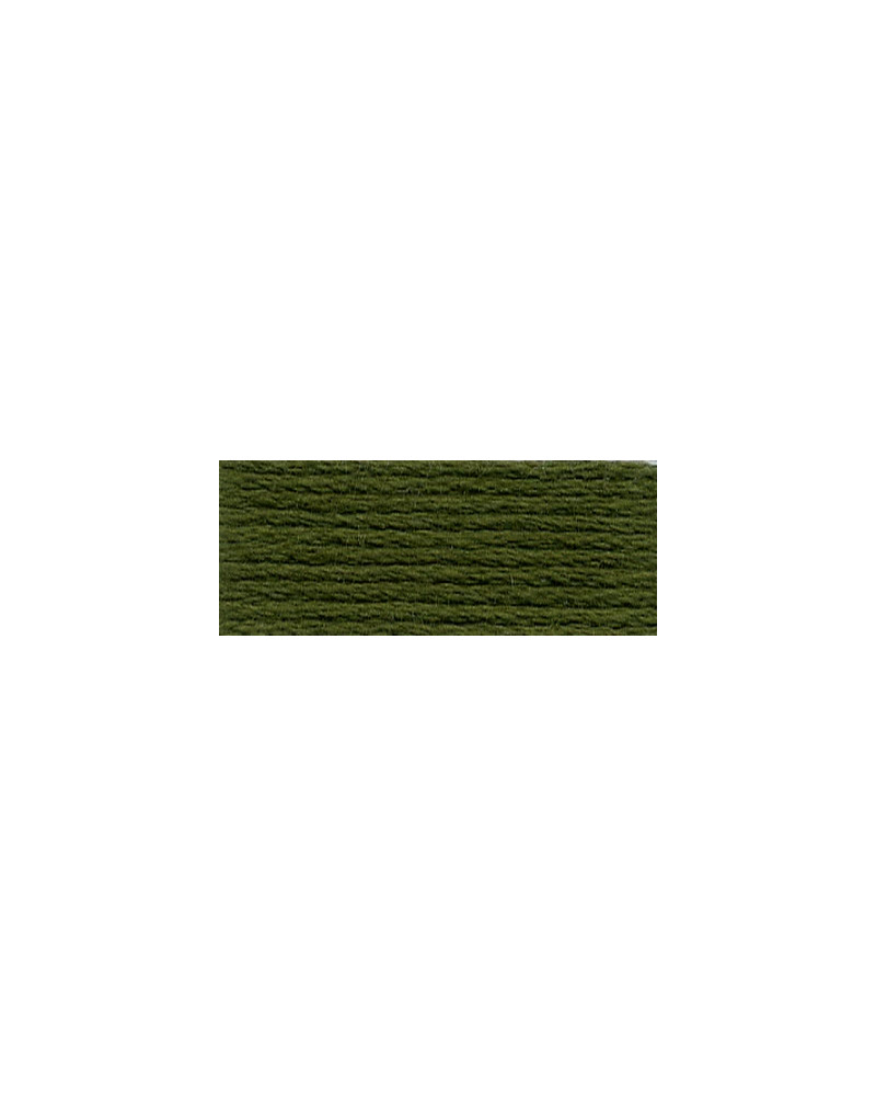 Mulina DMC 3051