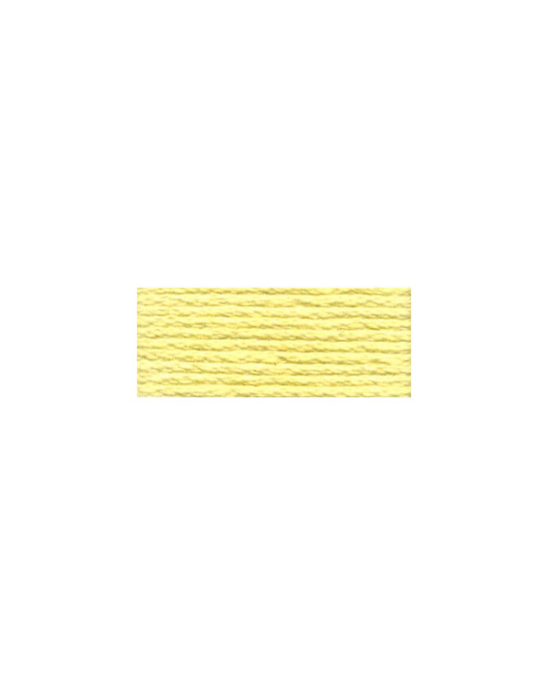 Mulina DMC 3078