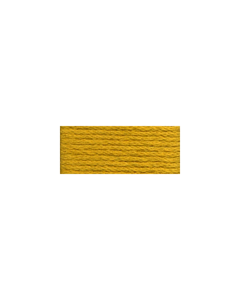 Mulina DMC 3820