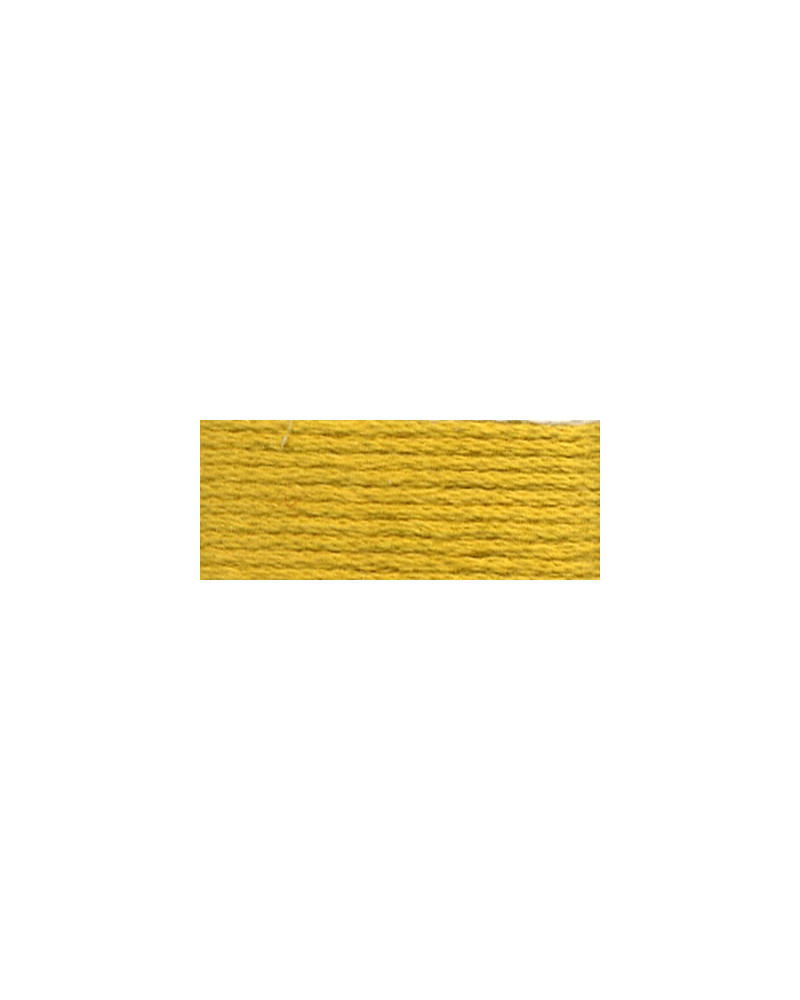 Mulina DMC 3821