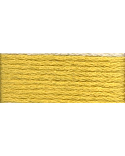 Mulina DMC 3822