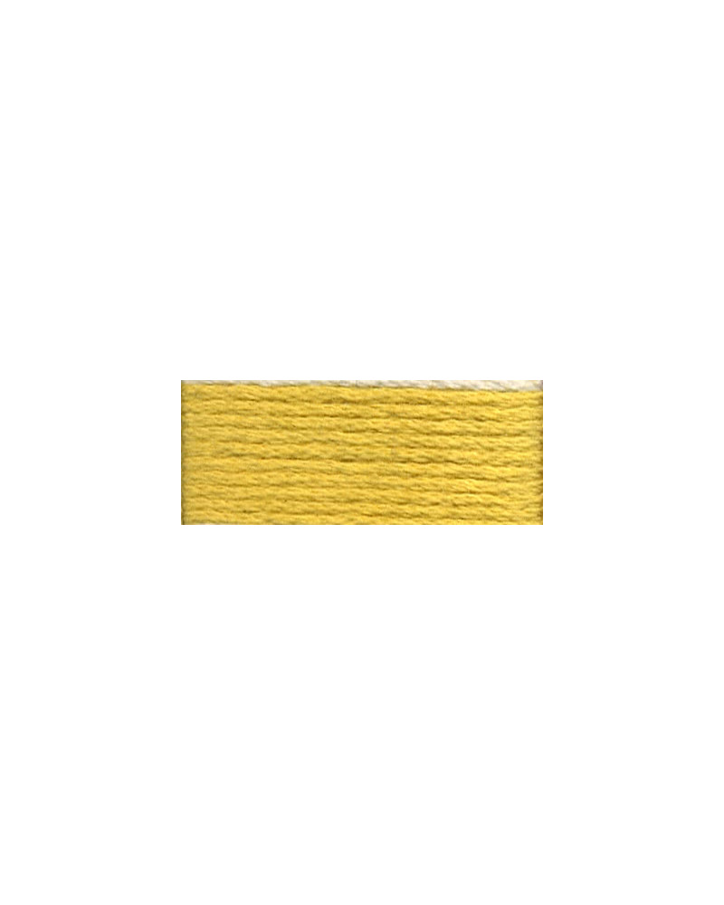 Mulina DMC 3822