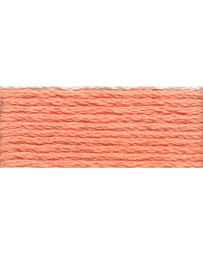 Mulina DMC 3824