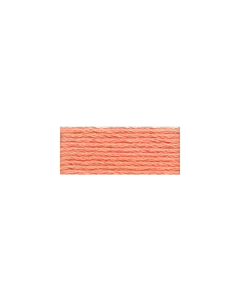 Mulina DMC 3824