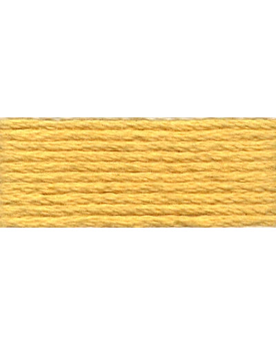 Mulina DMC 3855