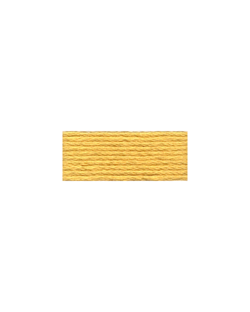 Mulina DMC 3855