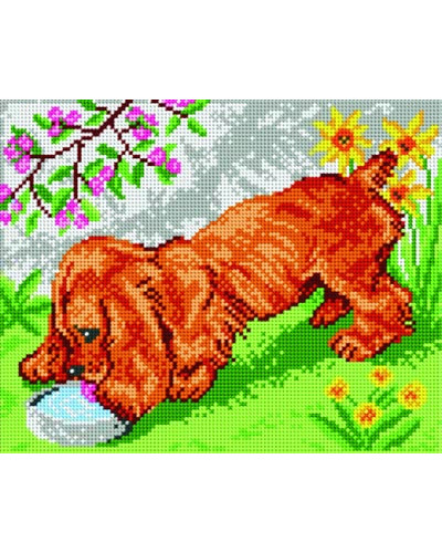 Schemat do haftu Spaniel