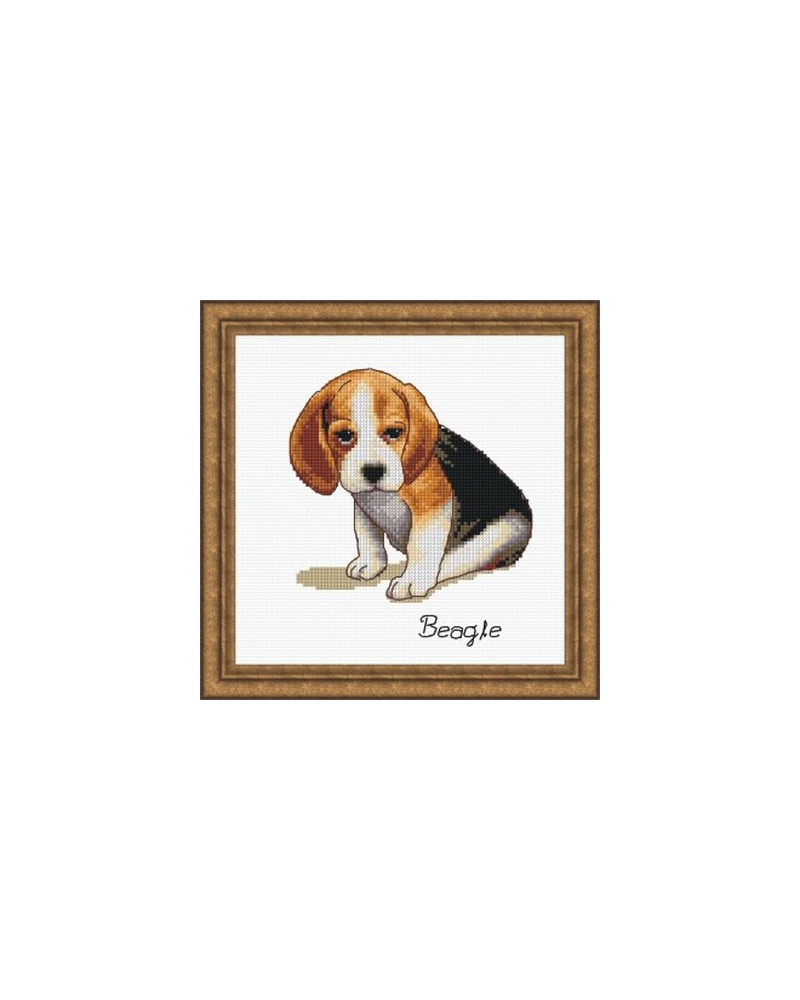 Schemat do haftu Beagle