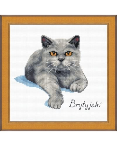 Schemat do haftu Kot brytyjski