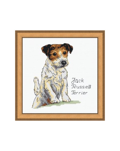 Schemat do haftu Jack Russell Terrier