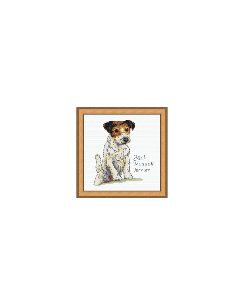 Schemat do haftu Jack Russell Terrier