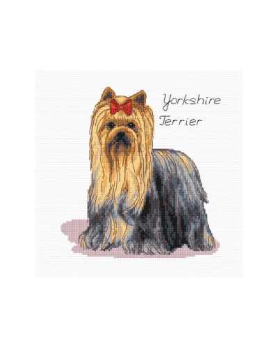 Schemat do haftu Yorkshire Terrier