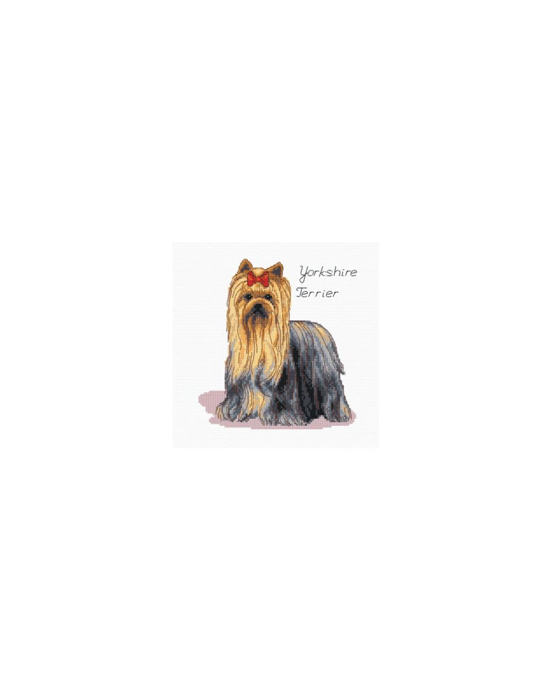 Schemat do haftu Yorkshire Terrier