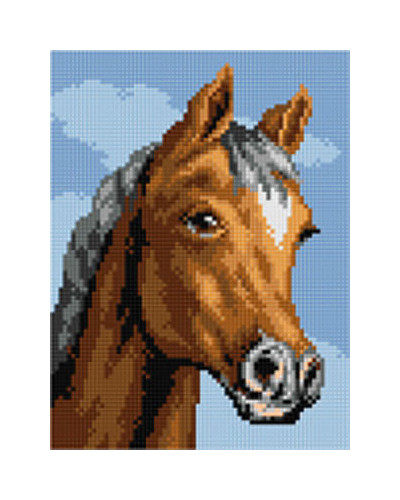 Kanwa z nadrukiem Mustang