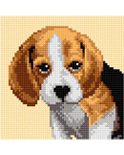 Kanwa z nadrukiem Beagle