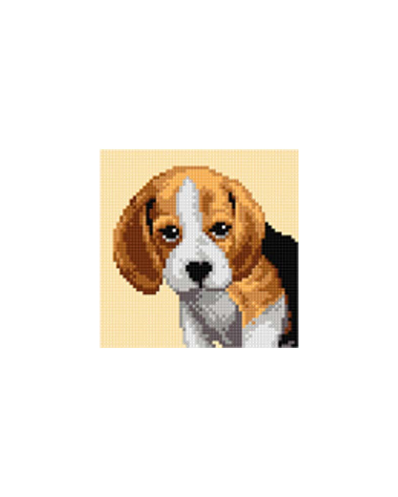 Kanwa z nadrukiem Beagle