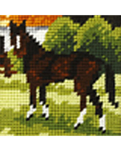 Zestaw do haftu gobelinowego obrazek – Koń