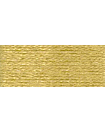 Mulina DMC 834