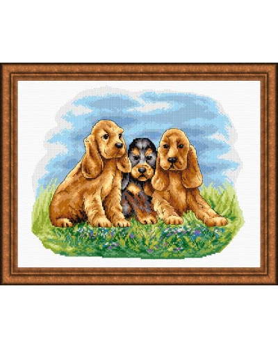 Schemat do haftu Szczenięta - Cocker Spaniel