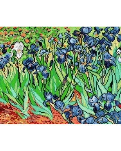 Schemat do haftu V. van Gogh Irysy