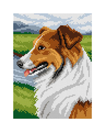 Schemat do haftu Wilhelm Schwar - Collie