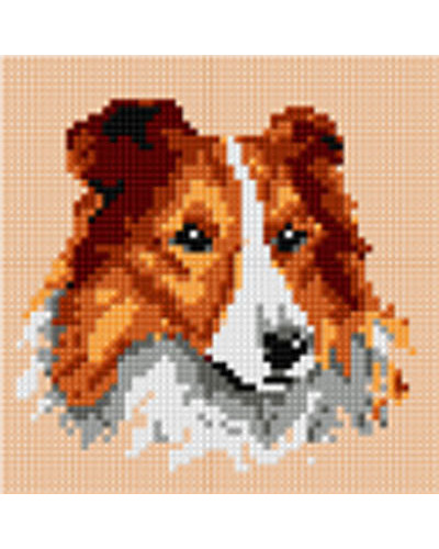 Schemat do haftu Owczarek Collie