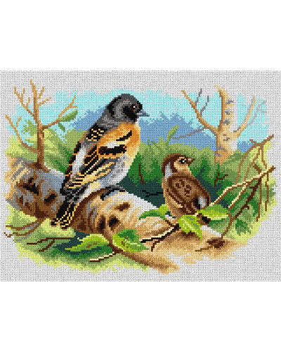 Schemat do haftu Archibald Thorburn - Ptaki Wysp Brytyjskich