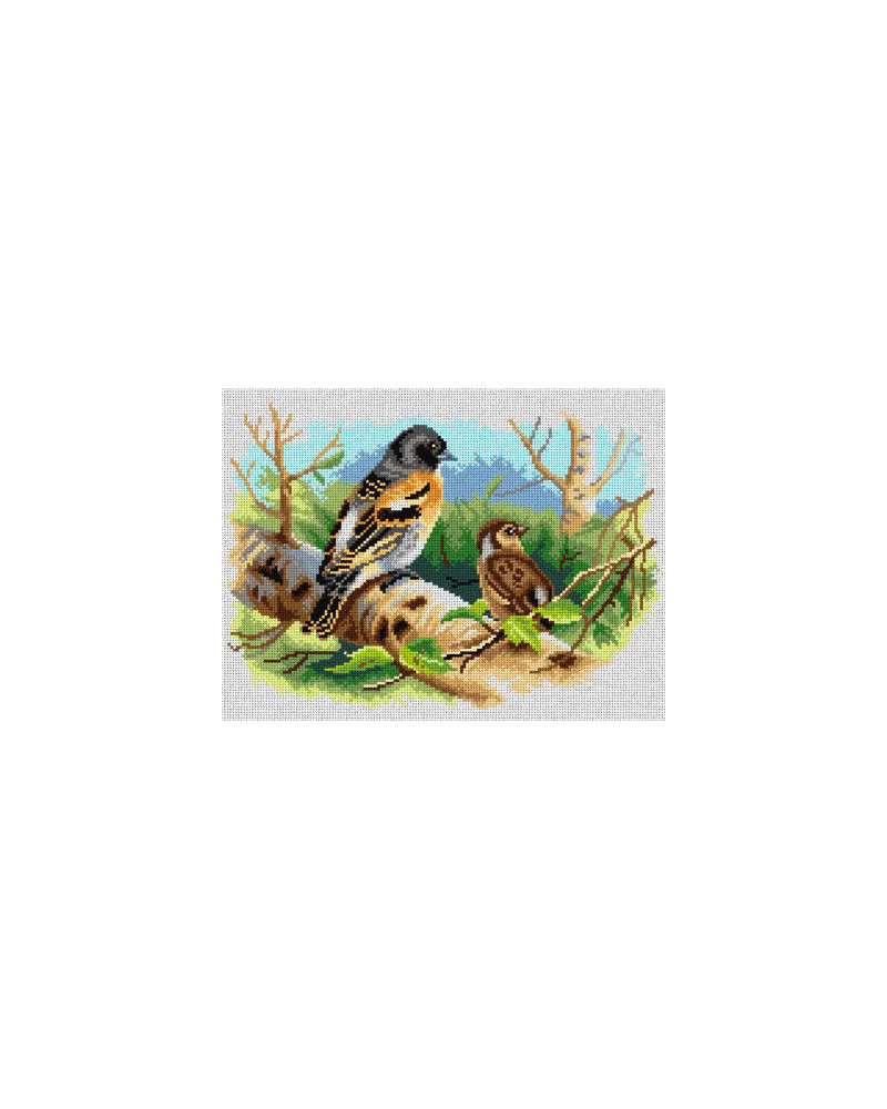 Schemat do haftu Archibald Thorburn - Ptaki Wysp Brytyjskich
