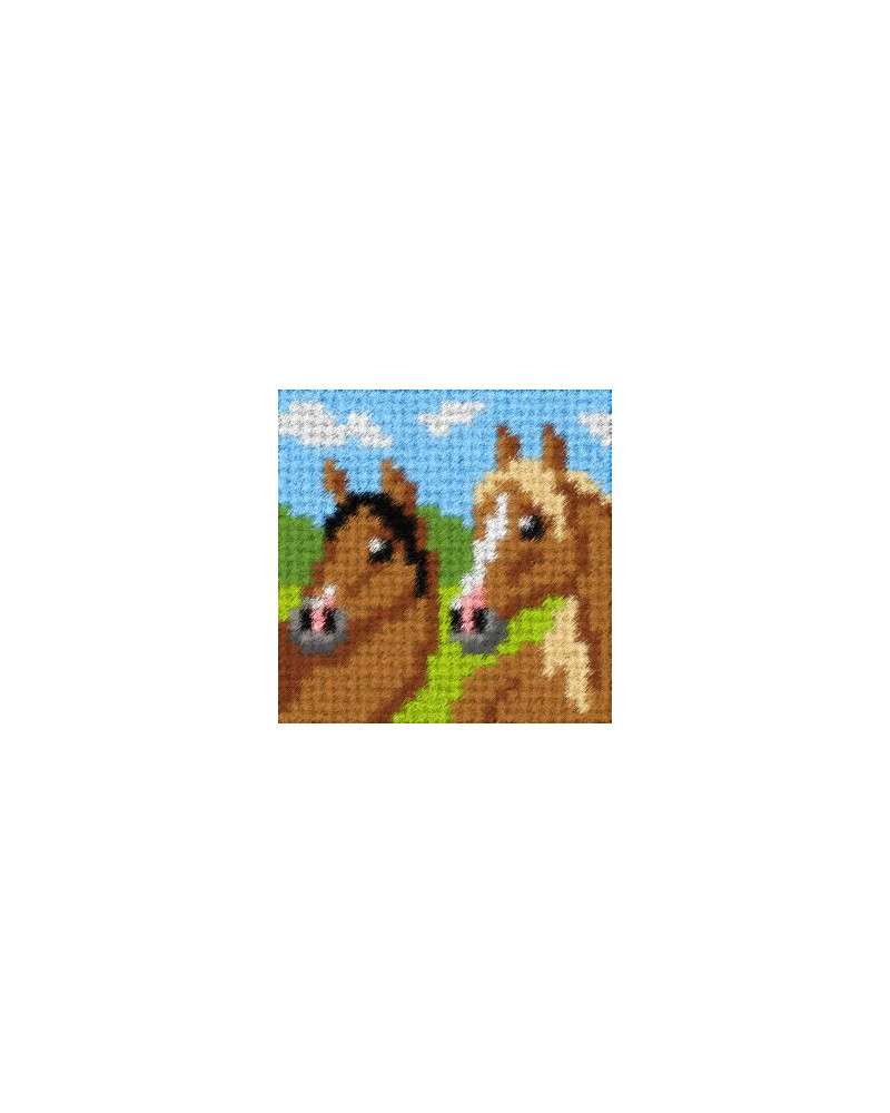 Zestaw do haftu gobelinowego obrazek – Konie