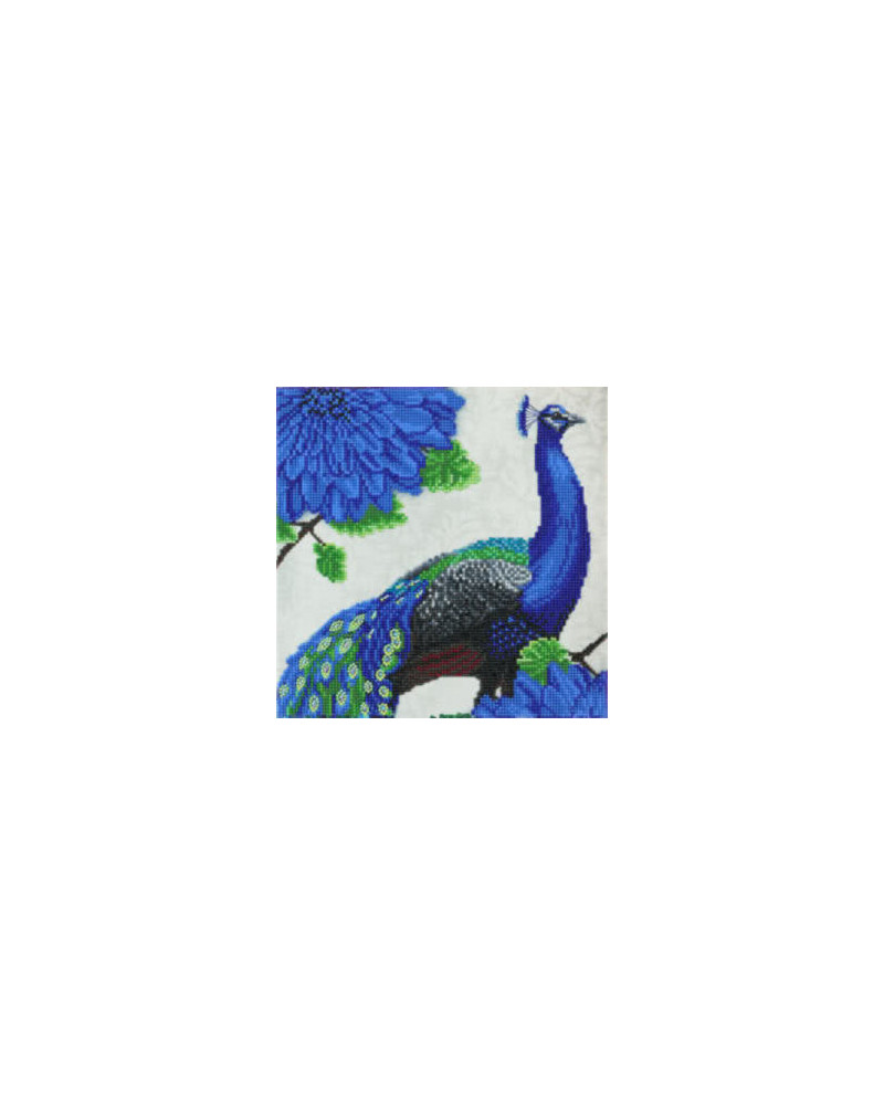 Zestaw do diamond painting obrazek - Kwitnący paw