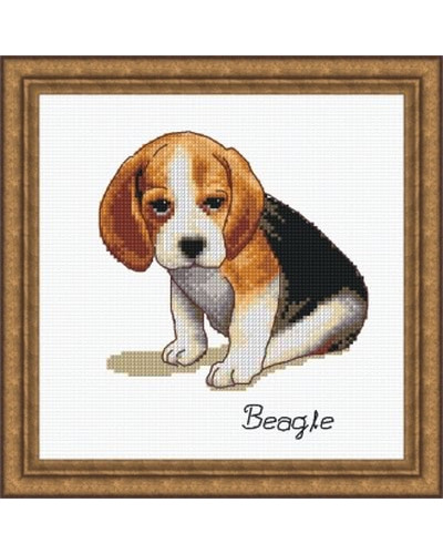 Schemat do haftu Beagle