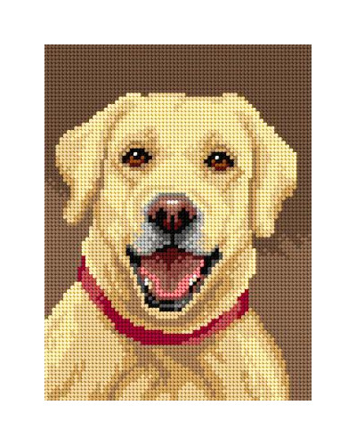 Kanwa z nadrukiem Labrador