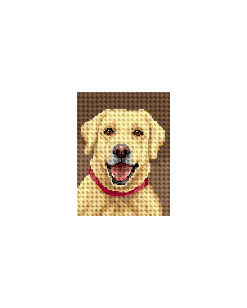 Kanwa z nadrukiem Labrador
