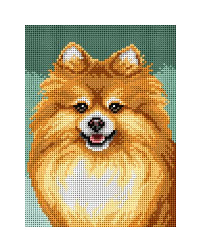 Schemat do haftu - Pomeranian