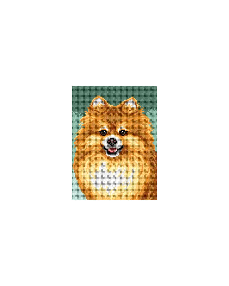 Schemat do haftu - Pomeranian