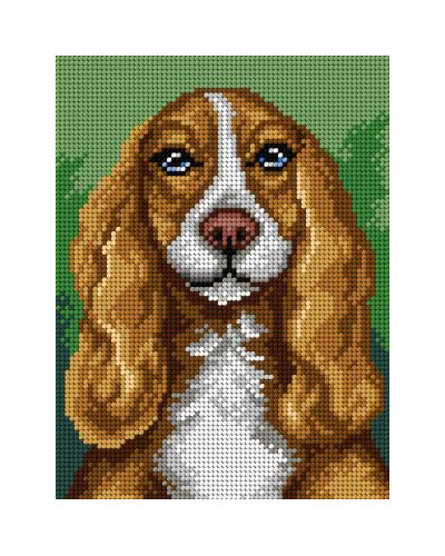 Schemat do haftu - Cocker spaniel