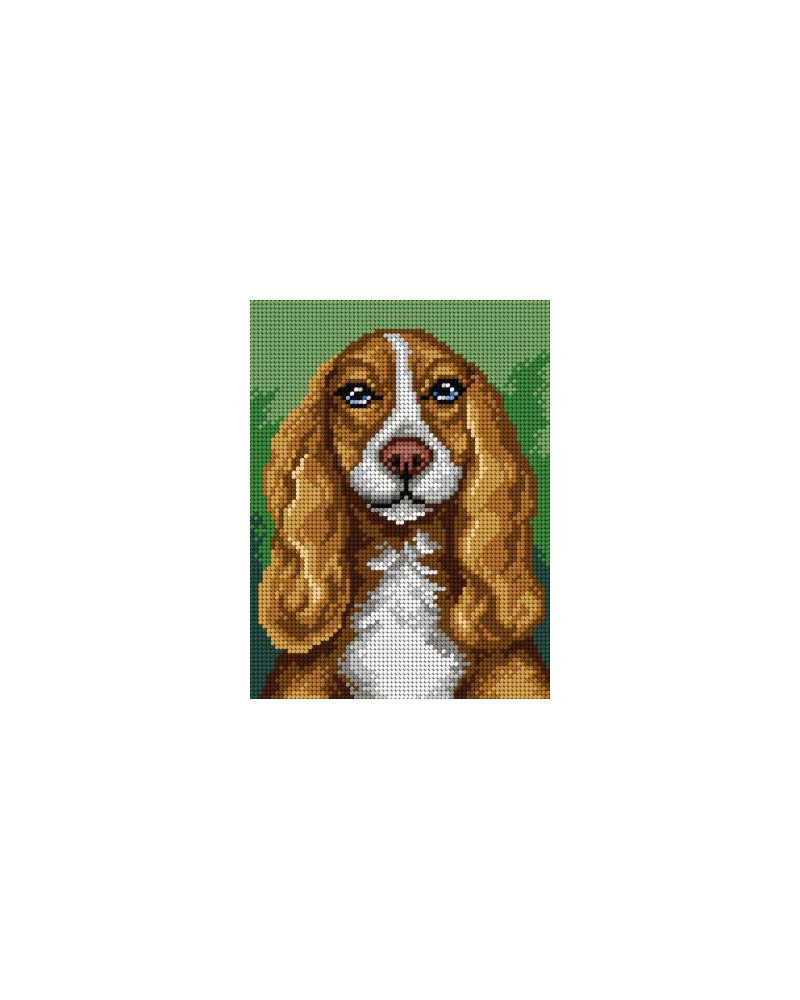 Schemat do haftu - Cocker spaniel
