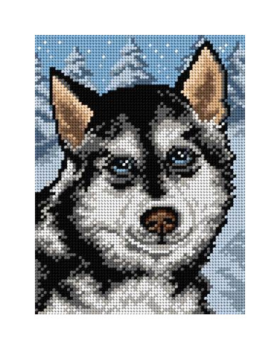 Schemat do haftu - Husky