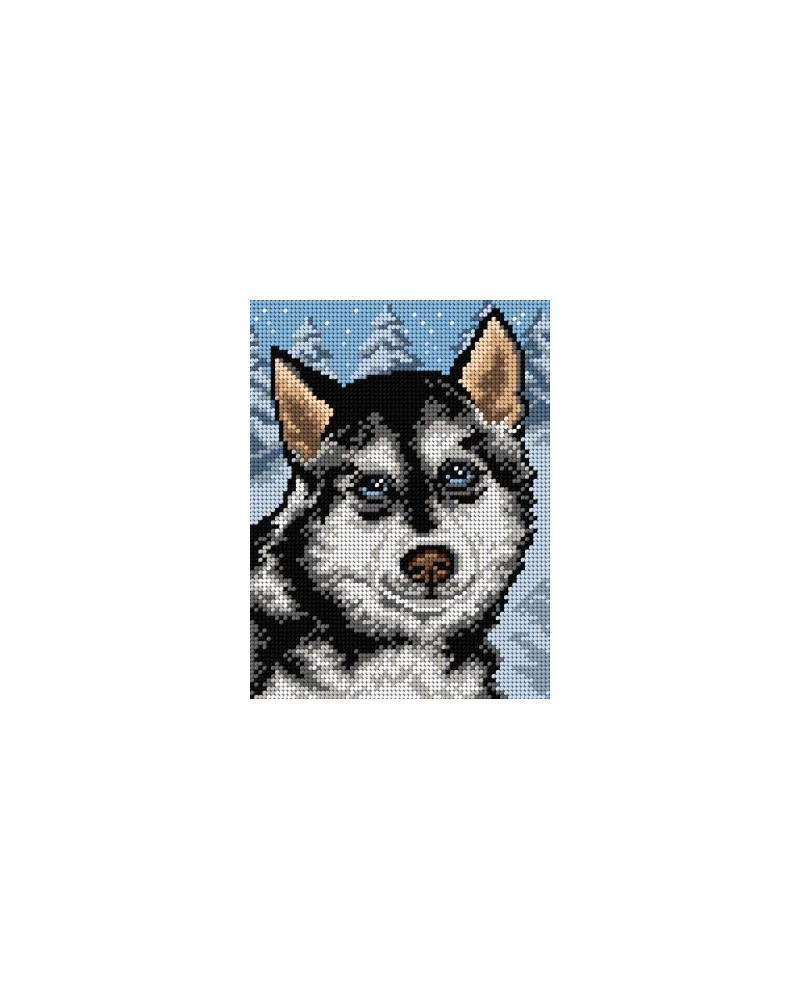 Schemat do haftu - Husky