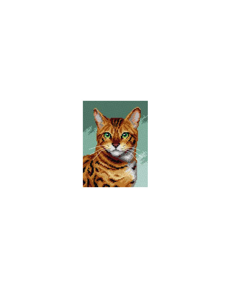 Kanwa z nadrukiem - Kot bengalski