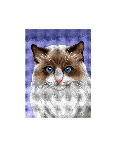 Schemat do haftu - Kot ragdoll
