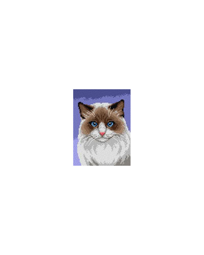 Schemat do haftu - Kot ragdoll