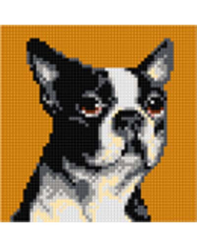 Schemat do haftu Boston Terrier