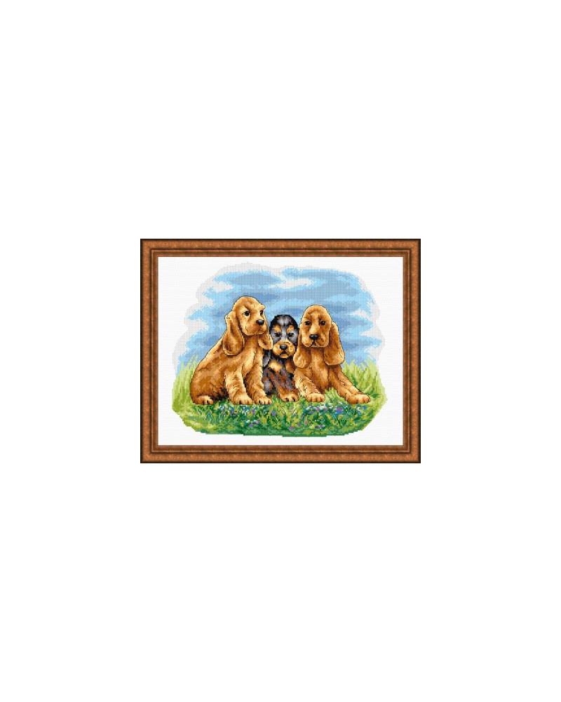 Schemat do haftu Szczenięta - Cocker Spaniel