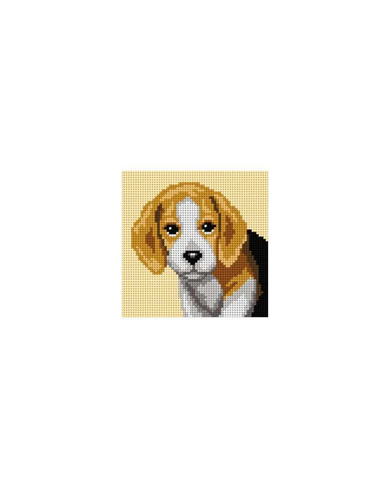 Zestaw do nauki haftu dla dorosłych - Pies beagle