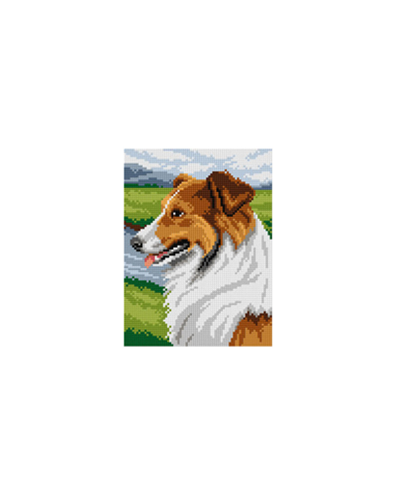 Schemat do haftu Wilhelm Schwar - Collie